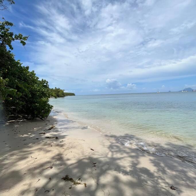 Studio La «Kaz' A Coco» Anse Caritan Sainte-Anne Esterno foto