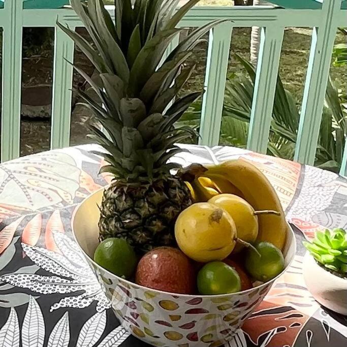 Studio La «Kaz' A Coco» Anse Caritan Sainte-Anne Esterno foto
