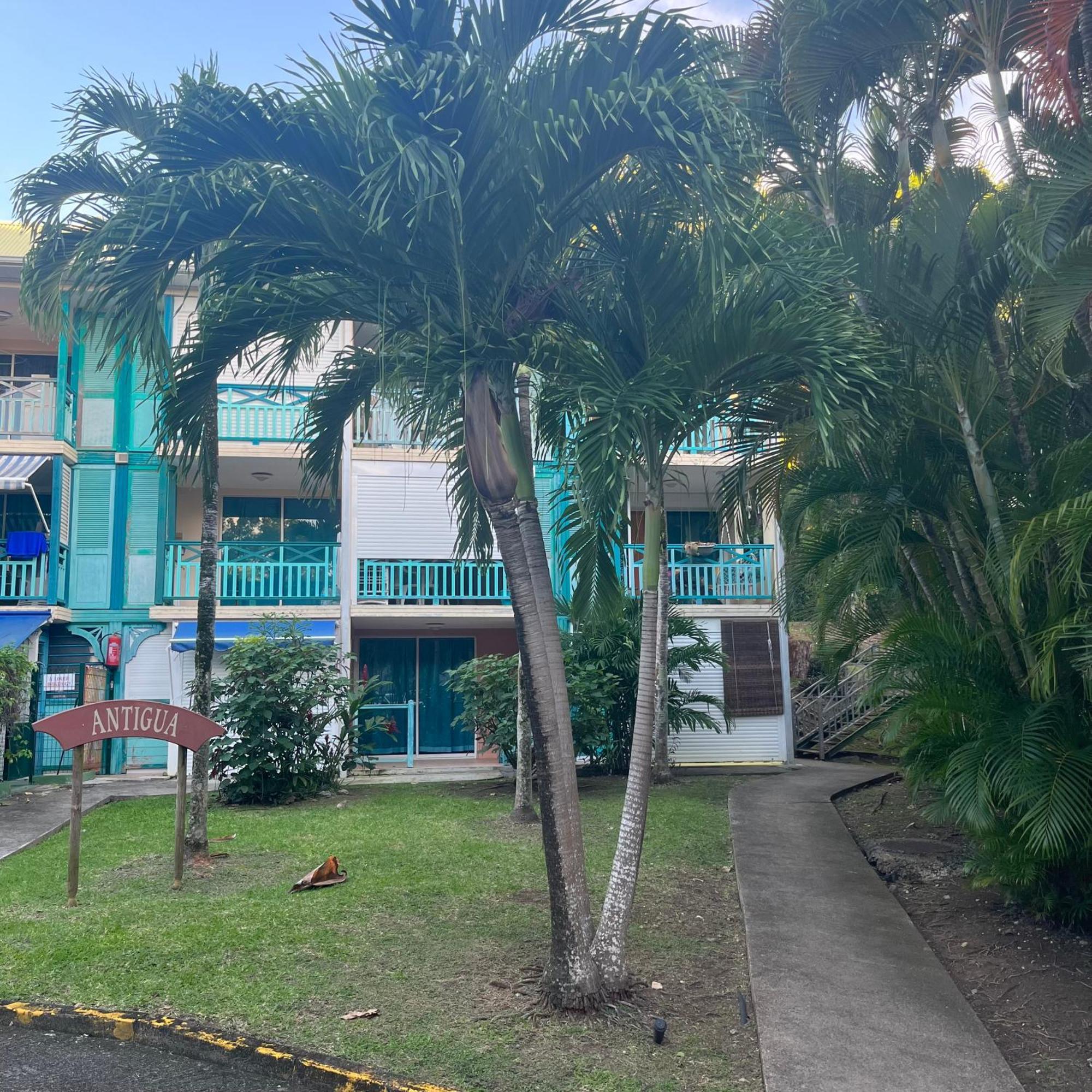 Studio La «Kaz' A Coco» Anse Caritan Sainte-Anne Esterno foto